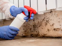 Mold Removal for HVAC Installations in Red Bank, SC